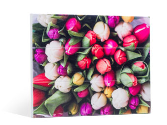 foto op hout berkenmultiplex