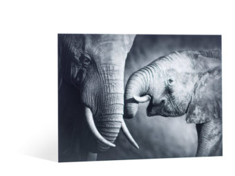 foto op polystyreen 2 mm