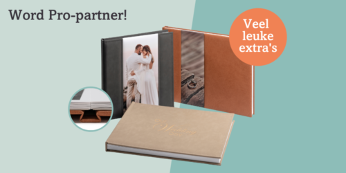 profotonet-desktop-bottombanner-pro-partner